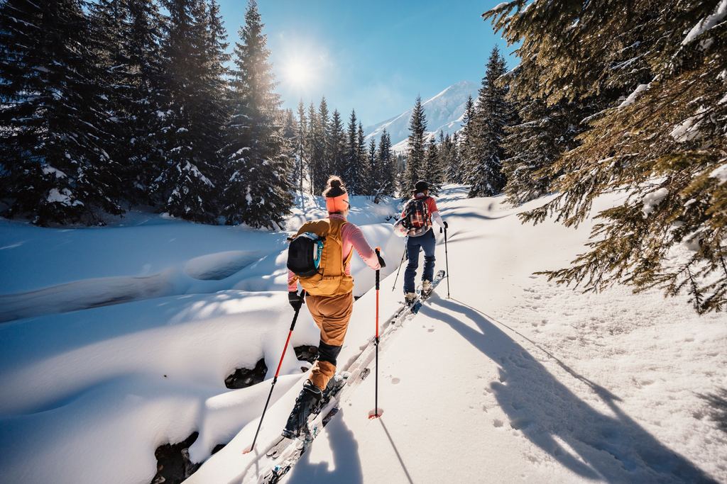 Deux personnes à skis dans une forêt enneigée
